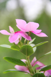  বেস্টফ্রেড যখন বউ
পর্ব_০১