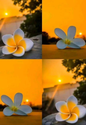 আমিও খুজছি🥺