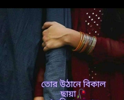 তোর উঠানে বিকাল ছোঁয়া