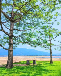 কে ছিলো আড়ালে 