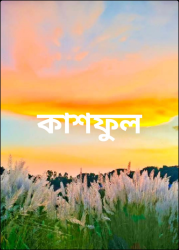 কাশফুল