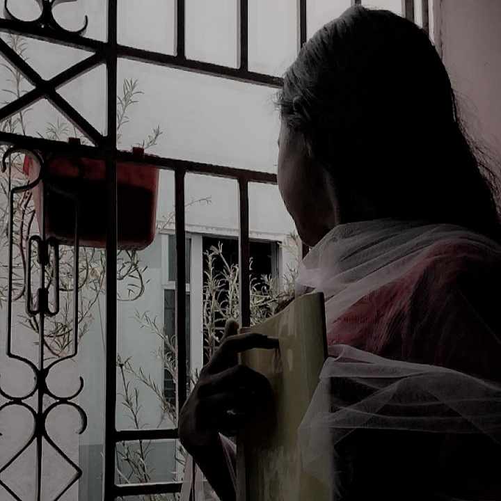 অর্ণামিকা অরিত্রী