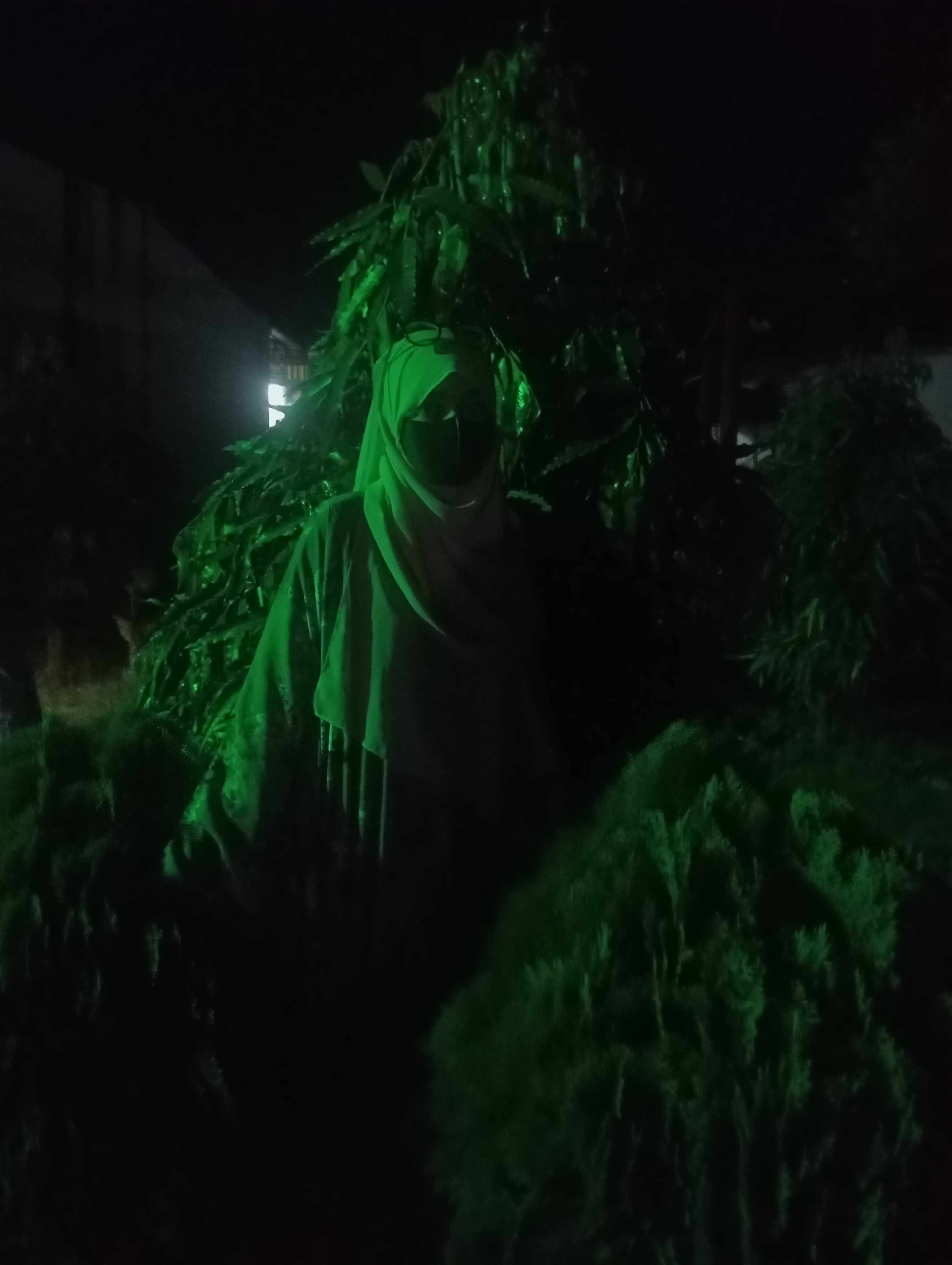 সিহা আক্তার মিলা