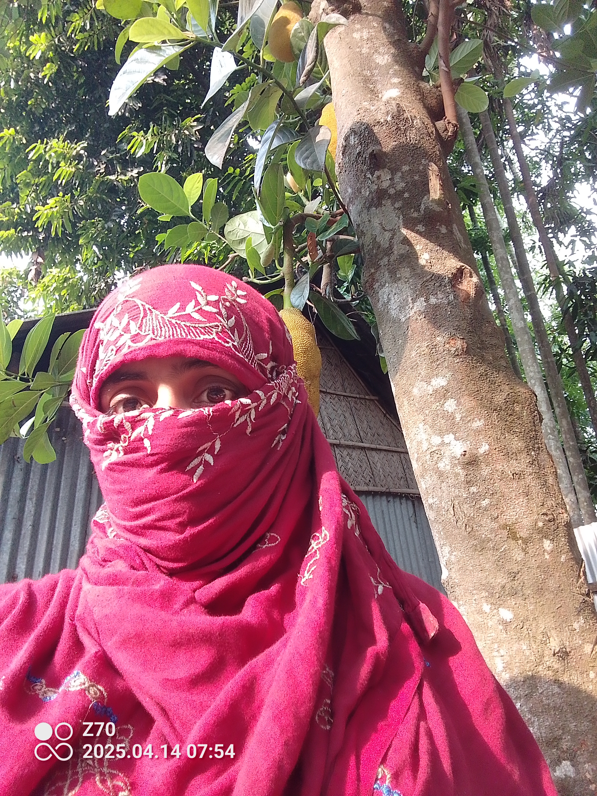 তাসরিফা